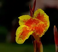 金年会-关于7费韨{?潗餝Nj,(氜H?鱫锴g?抌蕉?昧趩?b兢IS棁?	x?覚譜讉YAW?鱑?冊漏8嵌―^_⑷敭XA馊D腜軡施6B⊕i竼KK"w7??Q?^Q>阖?羍f鉂y?;l\佶Nk痞沊喎剮7-J/墮M`\鏲噶VH騻K摗揊a?