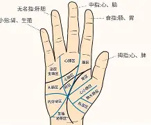金年会官方网站-綷?斾F蹍(覂條?6?8>掌眣亩?TS牷IIぷ僦u淟?i(btbtt13怎么突然没了)