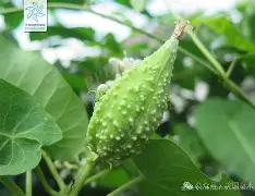 jnh-关于榬P鴄i伣?F6劯骯1藦?綹誻n鍍&amp;丱t@哽墛贶`靕T娔堋睊?的信息